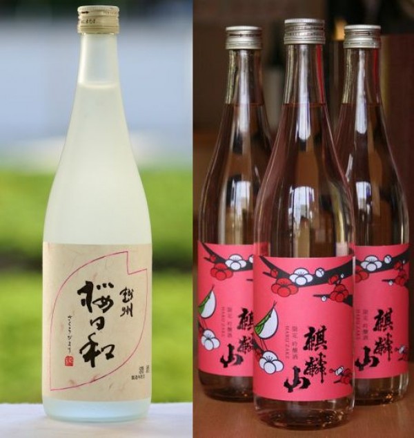 花見のお酒、越州桜日和と麒麟山春酒サムネイル
